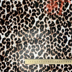 фото_1