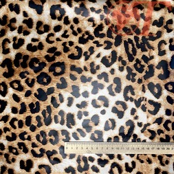 фото_5